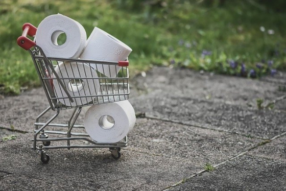 Toilettenpapierrollen in kleinem Einkaufswagen